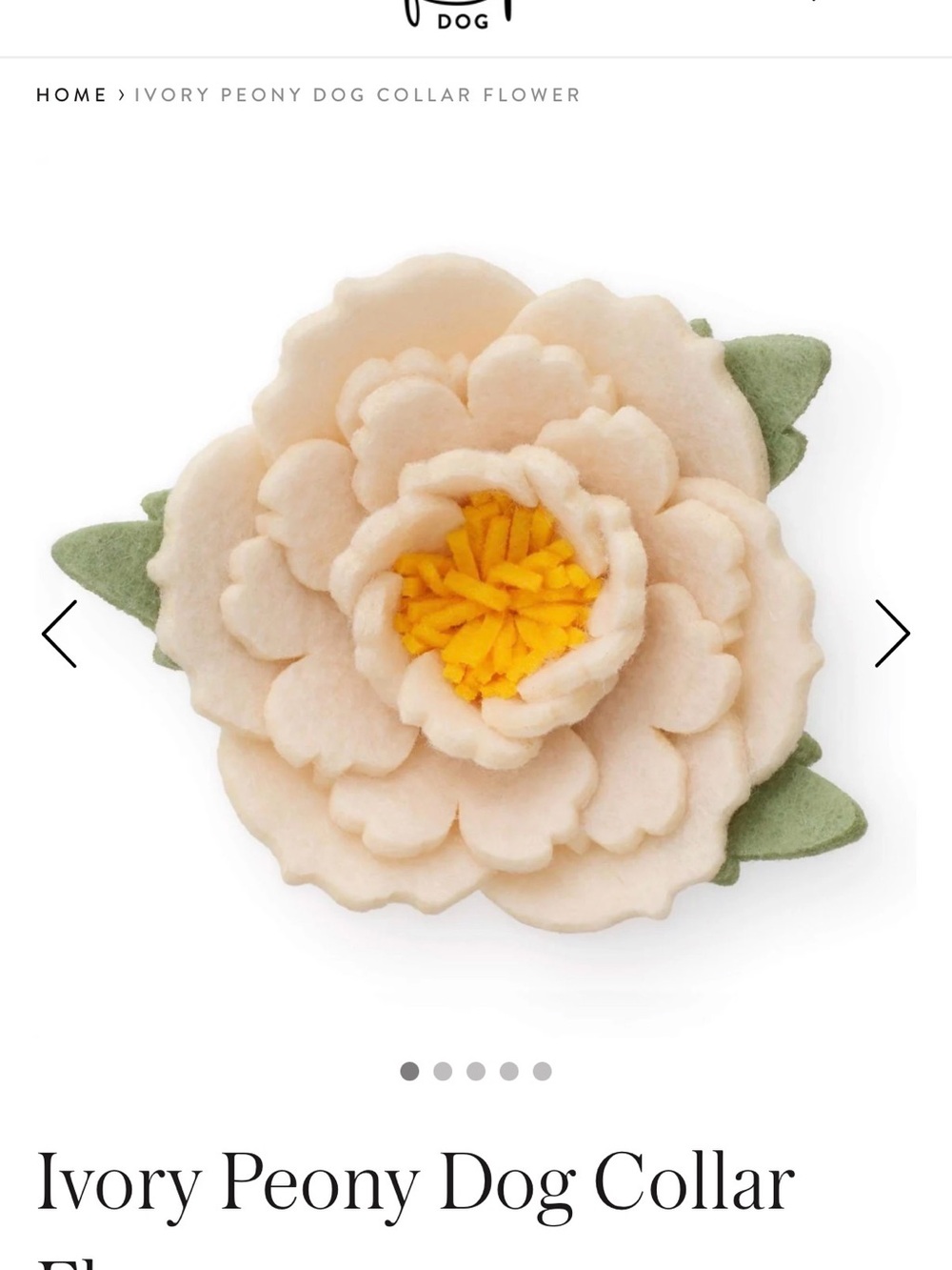 The Foggy Dog Ivory Peony Collar Flower with Yellow Center - Picture 5 of 6